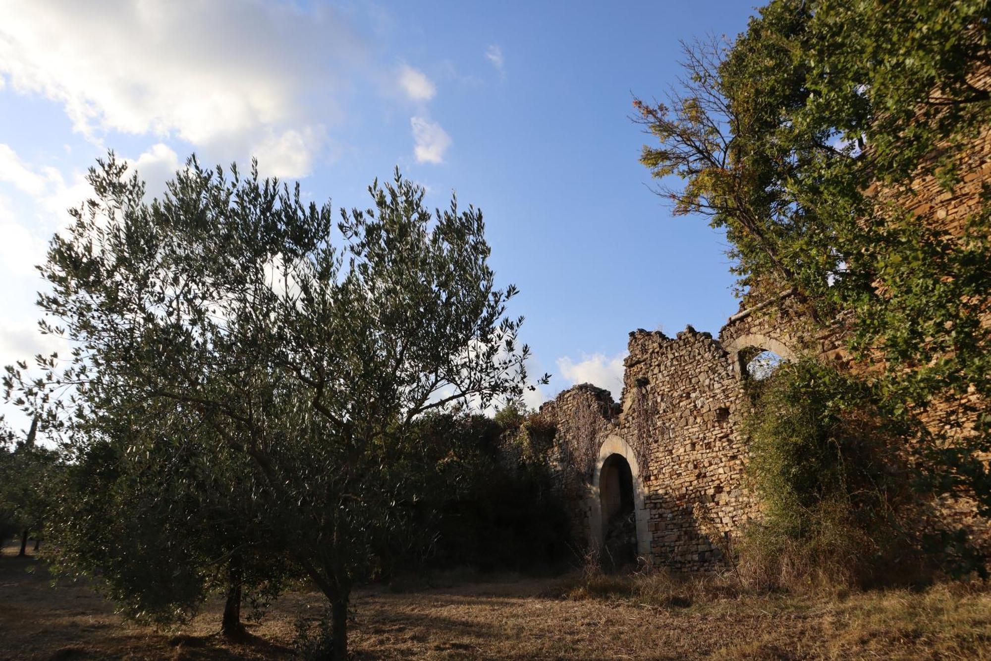 Abbadia Wine Relais Bed and Breakfast Montefollonico Exterior foto