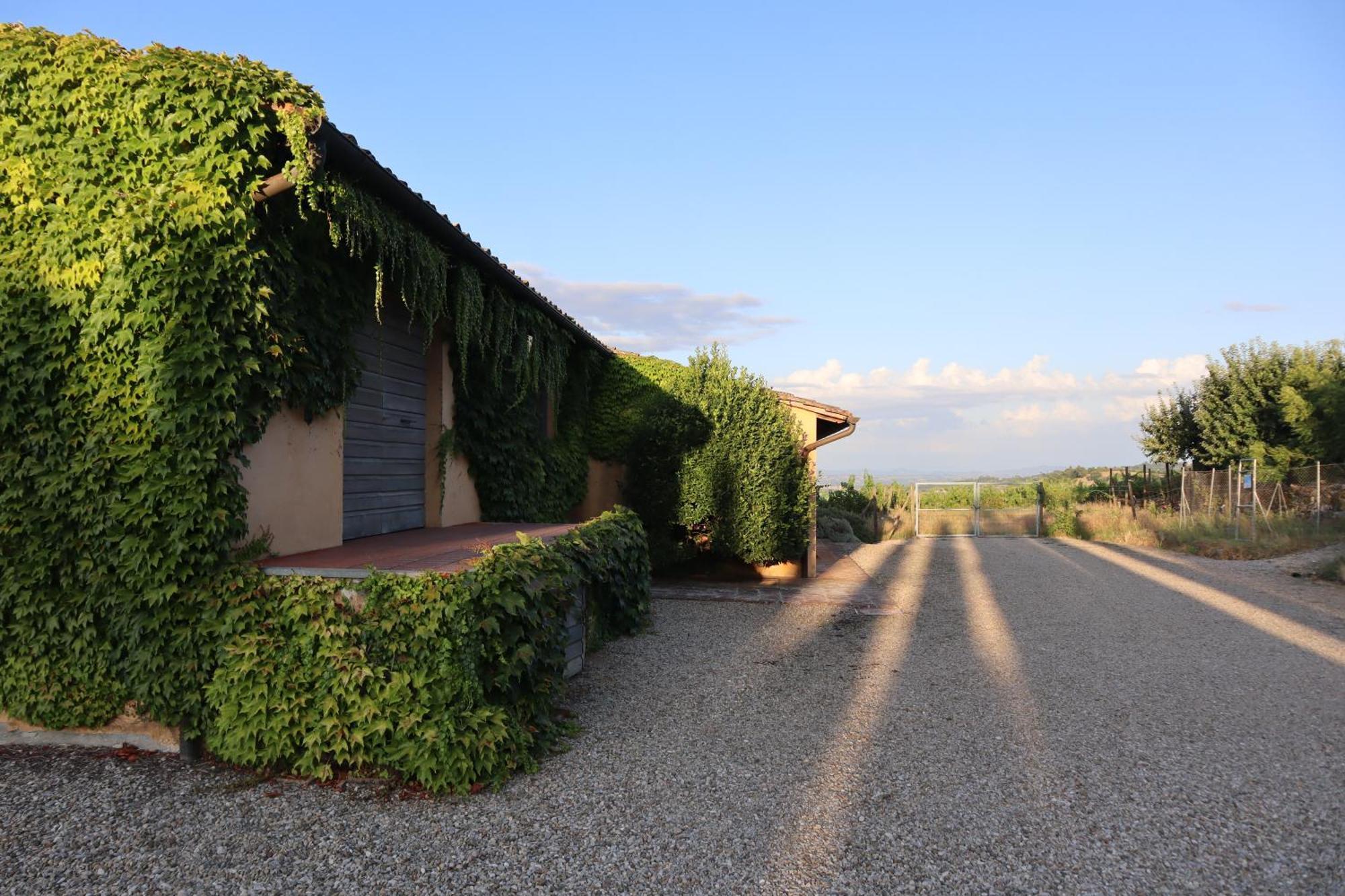 Abbadia Wine Relais Bed and Breakfast Montefollonico Exterior foto