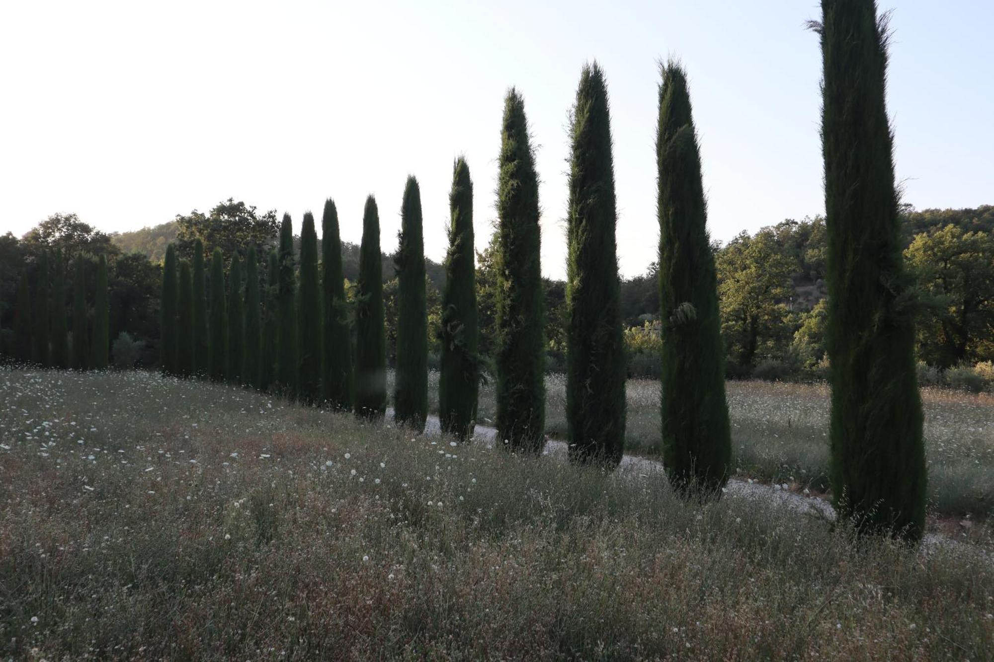 Abbadia Wine Relais Bed and Breakfast Montefollonico Exterior foto