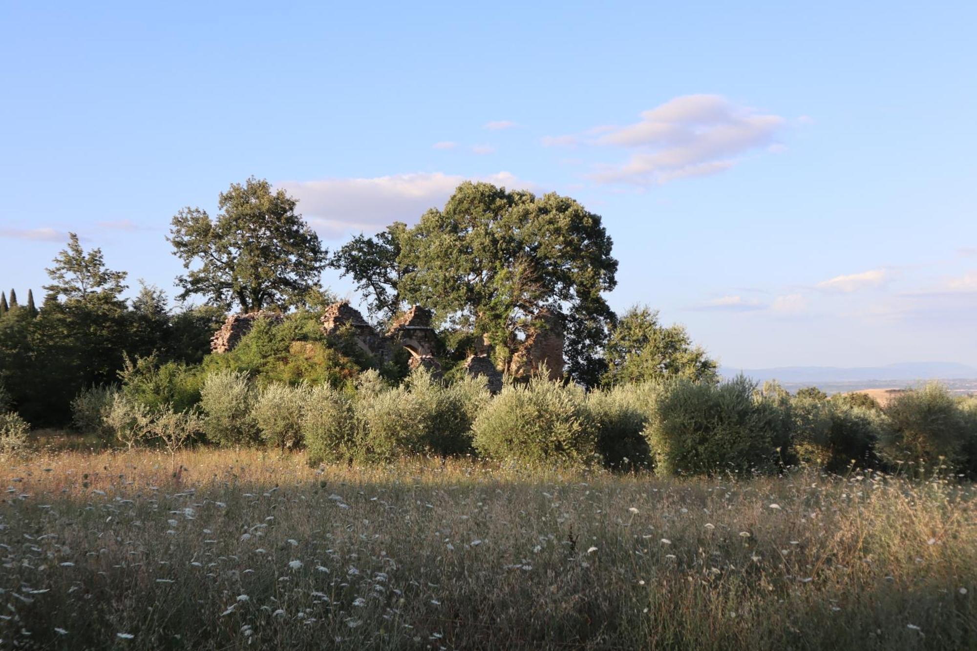 Abbadia Wine Relais Bed and Breakfast Montefollonico Exterior foto